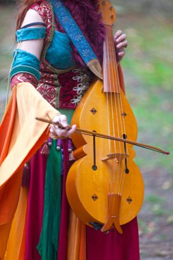 A medieval minstrel playing vielle during the annual Medievales festival. In autumn, in many medieval towns in France, festivals are held where people can disguise in knights, monks, farmers... of the medieval period.