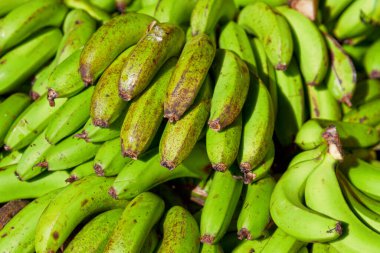 Full frame close-up on a stack of unripe bananas on a market stall.