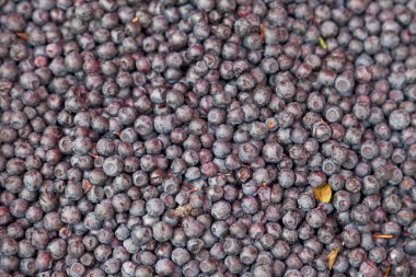 Close-up on a stack of bilberries for sale on a market stall.