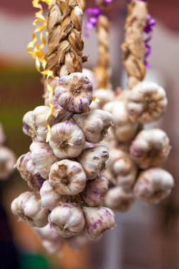 Close-up on a string of garlic bulbs hanging from a display at a market.