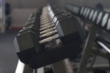 Set of dumbbells on a weight rack in a gym.