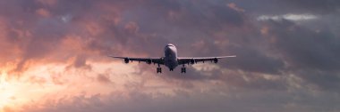 Panoramic view of a Turbojet airliner landing during sunset.