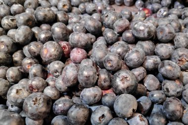 Close-up on a stack of bilberries for sale on a market stall.