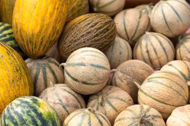 Full frame close-up on a stack of cantaloups, canary melons, green melons and watermelons on a market stall.
