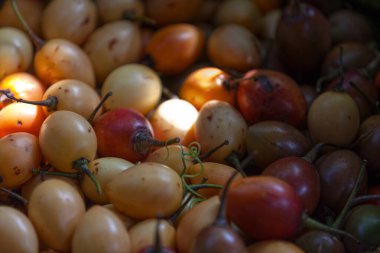 Full frame close up on a stack of Tamarillos on a market stall.