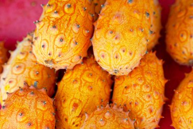 Cucumis metuliferus, horned melon or kiwano, also African horned cucumber or melon, jelly melon, hedged gourd, melano, is an annual vine in the cucumber and melon family, Cucurbitaceae.