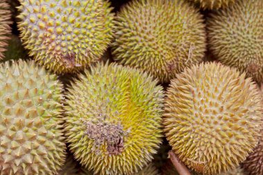 Close-up on a stack of durians for sale on a market stall.