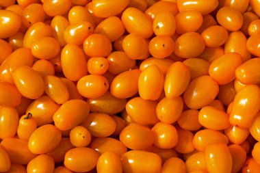 Close-up on a stack of yellow plum tomatoes for sale on a market stall.