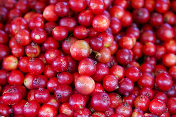 Full frame close-up on Cattley guavas for sale on a market stall.
