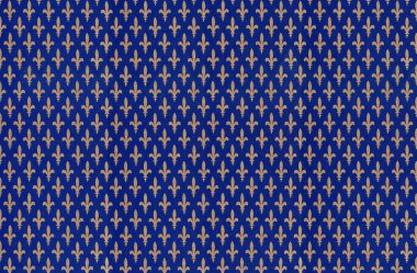 Kraliyet mavi arka planında altın fleur de lys.