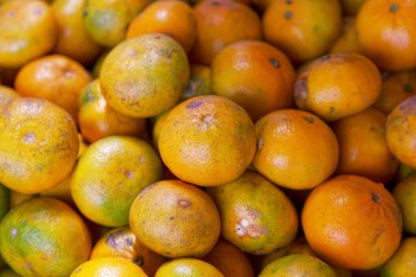 Full frame close-up on a stack of tangors on a market stall.