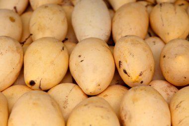 Close-up on a stack of honey mangoes for sale on a market stall.