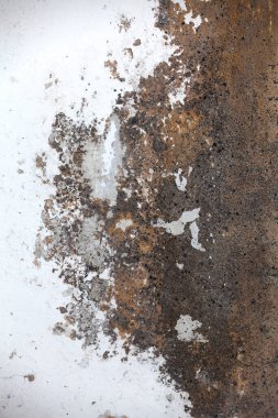 Full frame close-up on an old cement wall with cracked paint and traces of mold.