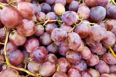 Close-up on a stack of Rose Grapes for sale on a market stall.