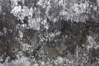 Full frame close-up on an old cement wall with cracked paint and traces of mold.