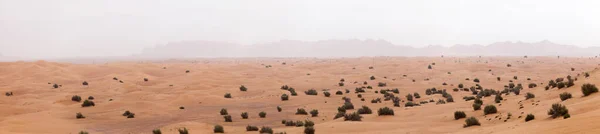 Bae Dubai Yakınlarındaki Liwa Çölü Nün Panoramik Görüntüsü — Stok fotoğraf