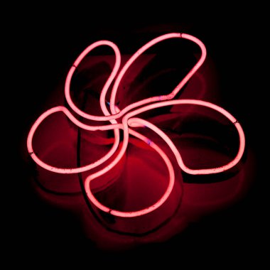Neon ışığı, Tayland 'da bulunan bir tropikal çiçek olan Leelawadee' ye (Frangipani) dönüşür..