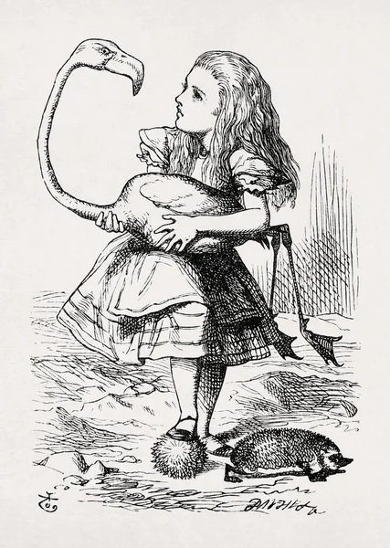 イラスト ジョン テニエル アリス1865年にルイス キャロルの小説 不思議の国のアリス のために作成されたフラミンゴとクロケットを再生しようとしています — ストック写真