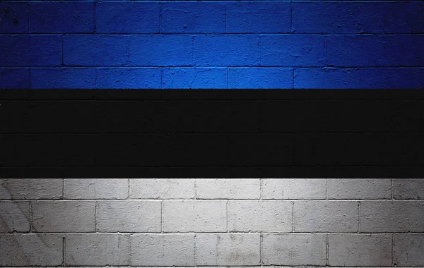 Estlands Flagga Målad Betongvägg — Stockfoto
