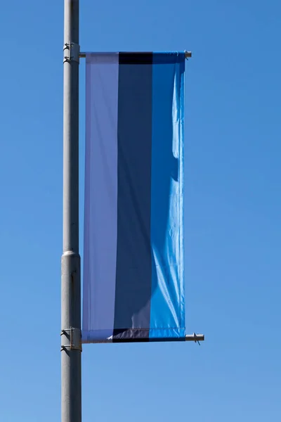 Bandeira Estoniana Montada Poste Parque Kadriorg — Fotografia de Stock