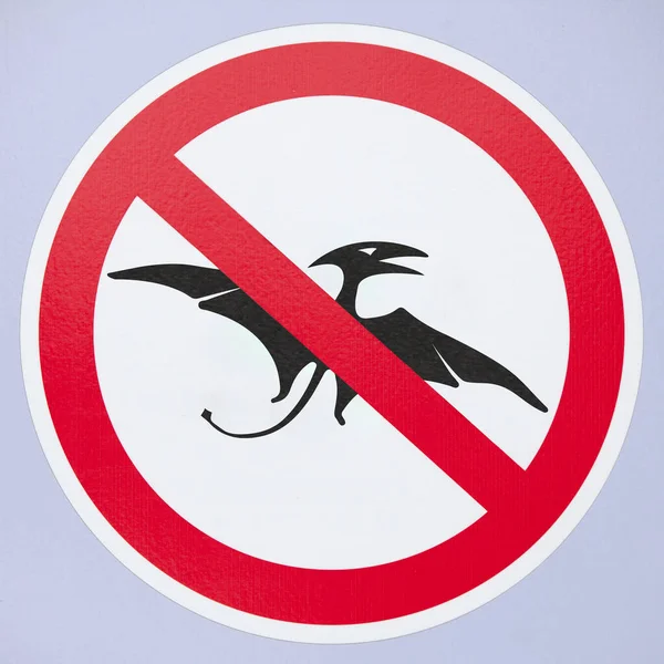 Close Pterosaur Sign — Stock Photo, Image