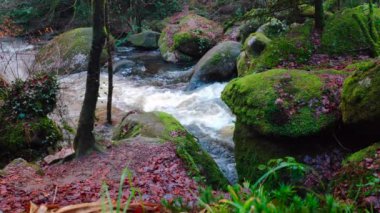 The water of the Silver River in Huelgoat flowing at high speed between the rocks after stormy days.