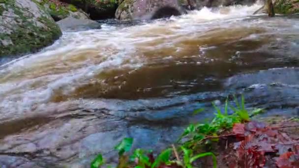 Water Silver River Huelgoat Flowing High Speed Rocks Stormy Days — Wideo stockowe