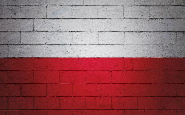 Flagge Polens Eine Wand Aus Schlackenblöcken Gemalt — Stockfoto