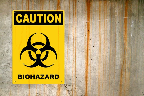 黄色的警示牌钉在水泥墙上警告人们注意威胁 在小组的中间 有一个生物危害符号 上面写着 生物危害 — 图库照片