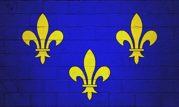 Bandiera Dell Ile France Dipinta Muro Cinder Block — Foto Stock
