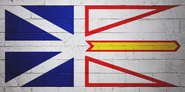 ニューファンドランドとラブラドールの旗が岩壁に描かれている — ストック写真