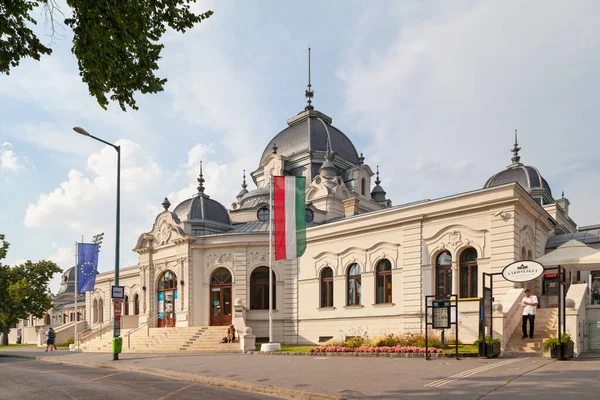 Будапешт Венгрия Июня 2018 Года Ледовый Каток Катание Лодке Городском — стоковое фото