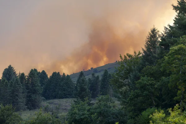 Cloud Smoke Tree Line Monts Arree Seen Botmeur Fire July — Stock Photo, Image