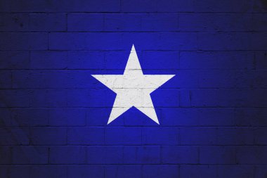 Tuğla duvarda Bonnie mavisi bir bayrak.