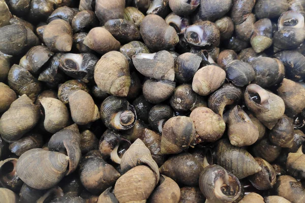 stock image A bunch of periwinkles for sale at a market stall.