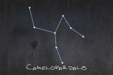 Ortasına Camelopardalis takımyıldızı çizilmiş karatahta.