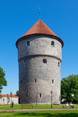 Tallinn, Estonya - 15 Haziran 2019: De Kok 'taki Kiek, 1475 yılında inşa edilen 38 metre yüksekliğindeki bir topçu kulesidir. De Kok 'ta Kiek adını kule sakinlerinin yakındaki evlerin mutfaklarını görme yeteneğinden aldı..
