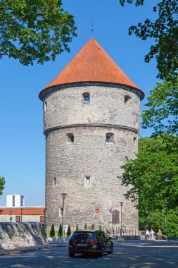 Tallinn, Estonya - 15 Haziran 2019: De Kok 'taki Kiek, 1475 yılında inşa edilen 38 metre yüksekliğindeki bir topçu kulesidir. De Kok 'ta Kiek adını kule sakinlerinin yakındaki evlerin mutfaklarını görme yeteneğinden aldı..