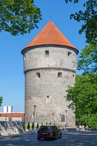 Tallinn Estonia June 2019 Kiek Kok 125 High Artillery Tower — Stock Photo, Image