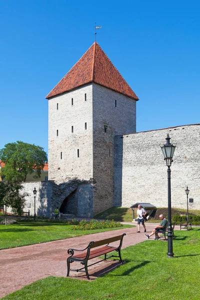 Tallinn Estonsko Června 2019 Věž Pro Panny Neitsitorn Věží Tallinnovy — Stock fotografie