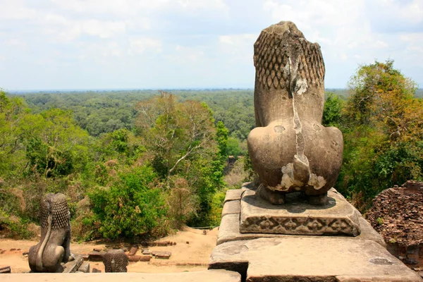 Sculpture Lion Phnom Bakheng Temple Hindou Bouddhiste Forme Montagne Située — Photo