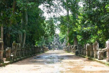 Preah Khan Angkor, Kamboçya 'da 12. yüzyılda Kral 7. Jayavarman' ın babasını onurlandırması için inşa edilmiş bir tapınaktır..