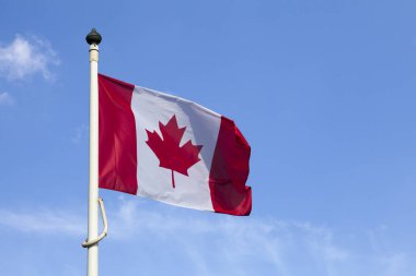 Direğinin tepesinde sallanan Kanadalı bir gecikmeye yakın çekim.