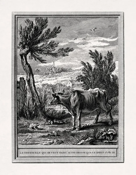 Illustration Réalisée Par Jean Baptiste Oudry 1755 Pour Les Fables — Photo