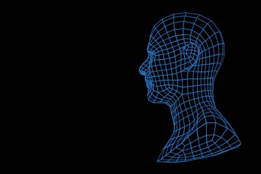Three dimensional mesh image of a man face.