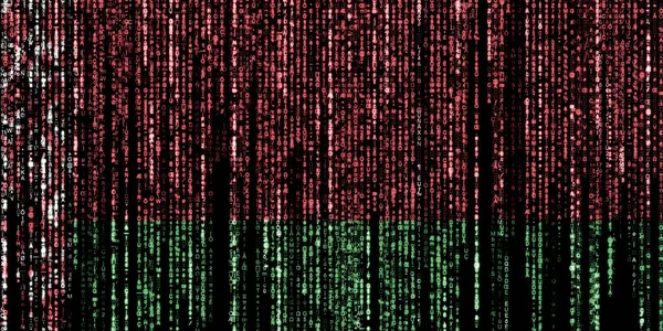 Flag of Belarus on a computer binary codes falling from the top and fading away.