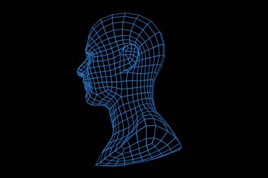 Three dimensional mesh image of a man face.