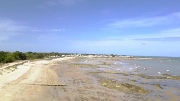 Widok Lotu Ptaka Plażę Clere Wyspie Noirmoutier — Wideo stockowe
