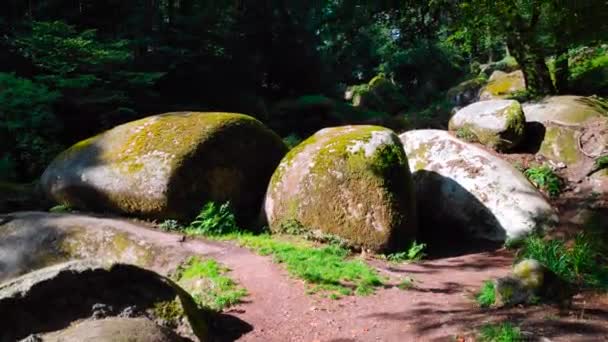Stenblock Blockfältet Skogen Huelgoat Bretagne — Stockvideo