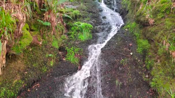 Невеликий Водоспад Тече Вздовж Скельної Стіни Лісі Уельсу Фіністрі Бретані — стокове відео